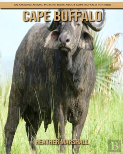 Bertrand.pt - Cape Buffalo