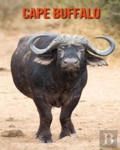 Cape Buffalo