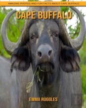 Cape Buffalo