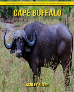 Bertrand.pt - Cape Buffalo