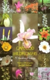 Cape Cod Wildflowers