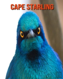 Bertrand.pt - Cape Starling