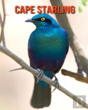 Cape Starling