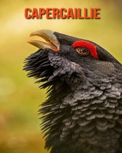 Capercaillie