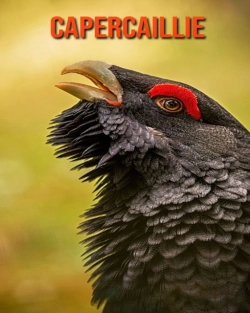 Bertrand.pt - Capercaillie