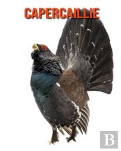 Capercaillie