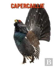 Capercaillie