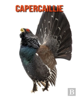 Bertrand.pt - Capercaillie
