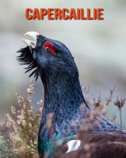 Bertrand.pt - Capercaillie