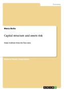 Capital Structure And Assets Risk