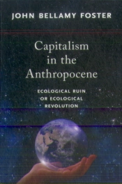 Capitalism In The Anthropocene