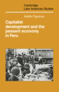Capitalist Development And The Peasant Economy In Peru