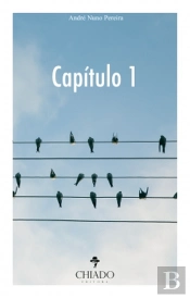 Capítulo 1