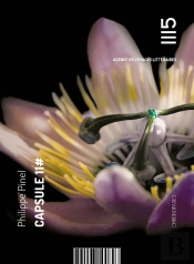 Capsule 11#