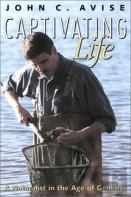 Captivating Life