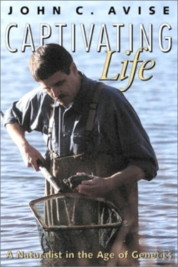 Bertrand.pt - Captivating Life