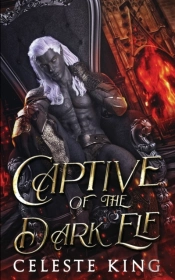 Captive Of The Dark Elf