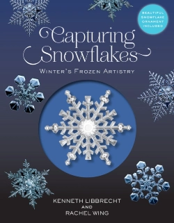 Bertrand.pt - Capturing Snowflakes