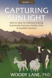 Capturing Sunlight, Book 1