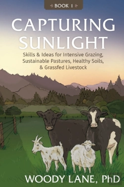 Bertrand.pt - Capturing Sunlight, Book 1
