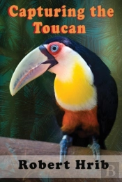 Capturing Toucan