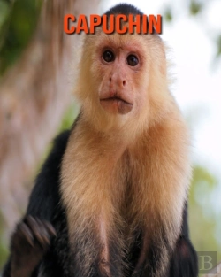 Bertrand.pt - Capuchin
