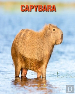 Bertrand.pt - Capybara