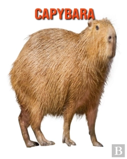 Bertrand.pt - Capybara