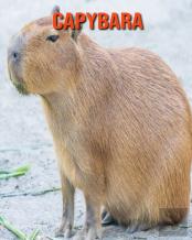 Capybara