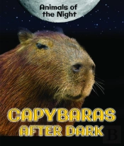 Capybaras After Dark