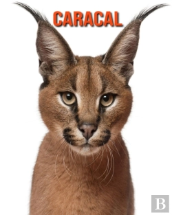 Bertrand.pt - Caracal
