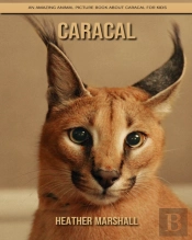 Caracal