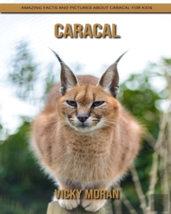 Bertrand.pt - Caracal