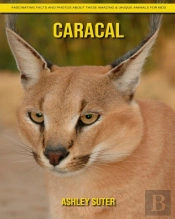 Caracal