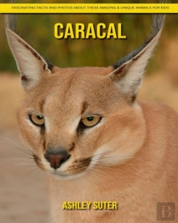 Bertrand.pt - Caracal