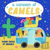 Caravan Of Camels