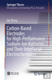 Carbon-Based Electrodes For High-Performance Sodium-Ion Batteries And Their Interfacial Electrochemistry