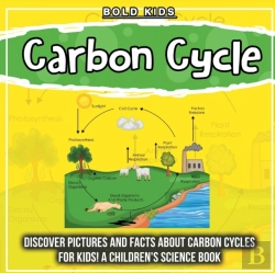 Bertrand.pt - Carbon Cycle