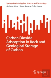 Carbon Dioxide Adsorption In Rock And Geological Storage Of Carbon
