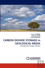 Carbon Dioxide Storage In Geological Media