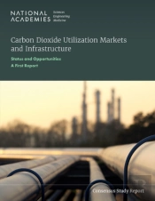 Carbon Dioxide Utilization Markets And Infrastructure