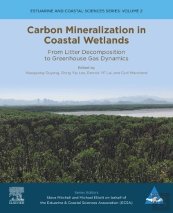 Bertrand.pt - Carbon Mineralization In Coastal Wetlands