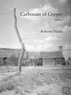 Bertrand.pt - Carbonate Of Copper