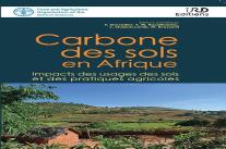 Carbone Des Sols En Afrique