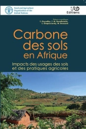 Carbone Des Sols En Afrique