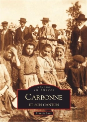 Carbonne Et Son Canton