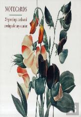 Card Box Of 20 Notecards And Envelopes: Sweetpea