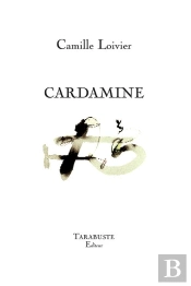 Cardamine - Camille Loivier