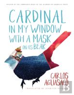 Cardinal In My Window With A Mask On Its Beak
