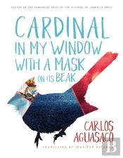 Cardinal In My Window With A Mask On Its Beak